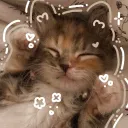 ☆shark.mellows☆'s icon