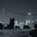 An Untitled Search