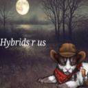 Hybrids r us