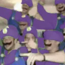 The Waluigi Party