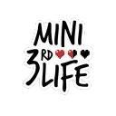 Mini Last Life