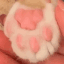 /paws