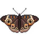 Bugs!