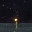 🌟 · 𝐂𝐚𝐩𝐭𝐚𝐢𝐧