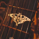 🍄 Endure & Survive [TLOU RP]