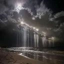 Paradise Discord Server