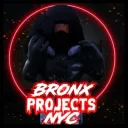 The Bronx Projects NYC