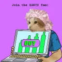 SupercycleKitty