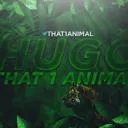 TheJungle!