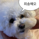 롤악귀 Discord server icon