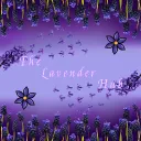 Lavender hub