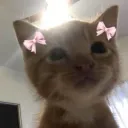 𝒃𝒓𝒂𝒕𝒛⋆౨ৎ˚⟡˖ ࣪