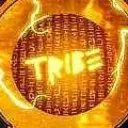 Tribe Odyssey