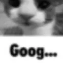 goog...