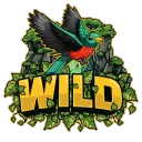 Wild