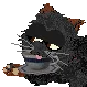 petz.quest