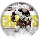 。       BCHL        ²⁶