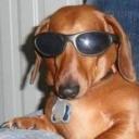 Reixis Accounts • #100 Discord Server