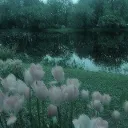 ᬊᬁ☀☂ 𝑨𝒎𝒂𝒓𝒚𝒍𝒍𝒊𝒔 𝑮𝒂𝒓𝒅𝒆𝒏