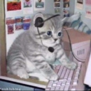 on the DL Discord server icon