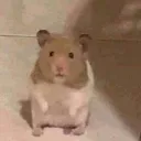 MIEDOSOS PERO SABROSOS👾