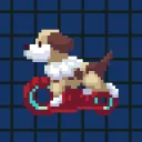 skateboarding dog ctf