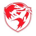 Fire Dragons Discord Server Icon