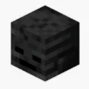 WitherMC Discord server icon