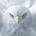 Order of the White Eagle Discord server icon