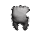 Cavity Entertainment