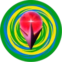Light No Fire Brasil