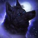 Cozy Wolf