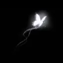 Manam1i’s butterflies 🦋