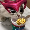 Cafofo do RP