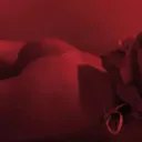 lily's nude palace's icon