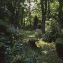 The Garden of Still Roots