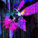 ⓘ 𝘗𝘭𝘦𝘢𝘴𝘦 𝘵𝘢𝘬𝘦 𝘰𝘯𝘭𝘺 𝘵𝘩𝘦 𝘳𝘦𝘤𝘰𝘮𝘦𝘯𝘥𝘦𝘥 𝘪𝘯𝘵𝘦𝘳𝘯𝘦𝘵 𝘥𝘰𝘴𝘢𝘨𝘦. Discord server icon