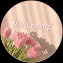 ˖ ݁𖥔 ݁˖   sarang   ˖ ݁𖥔 ݁˖