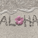 ˖ ݁𖥔 ݁˖   sarang   ˖ ݁𖥔 ݁˖