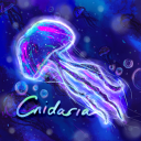 ⋆˚࿔ cnidaria ༄.°