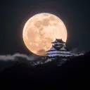 🪷ゆうた🪷