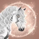 STAR STABLE REGISTER