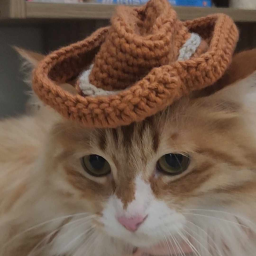 Discovery icon for Bread Market | Cheap Robux and Limiteds Discord server