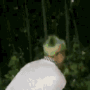 vlnt