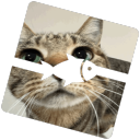 Discovery icon for normal | Fishstrap Discord server