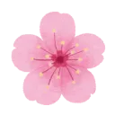 Sakura Society