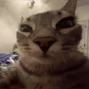 Friends | community Discord Server Icon