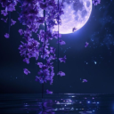 Nyxia's Realm  • SFW • Anime • Chess • semi-active • Community  • Profile Pics Discord server icon