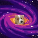 The Multivxrx Discord