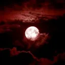 everlasting ⋆.˚ ☾ .⭒˚ 18+, nitro giveaway